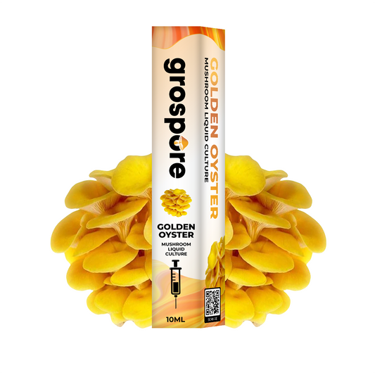 Golden Oyster Mushroom Liquid Culture packaging