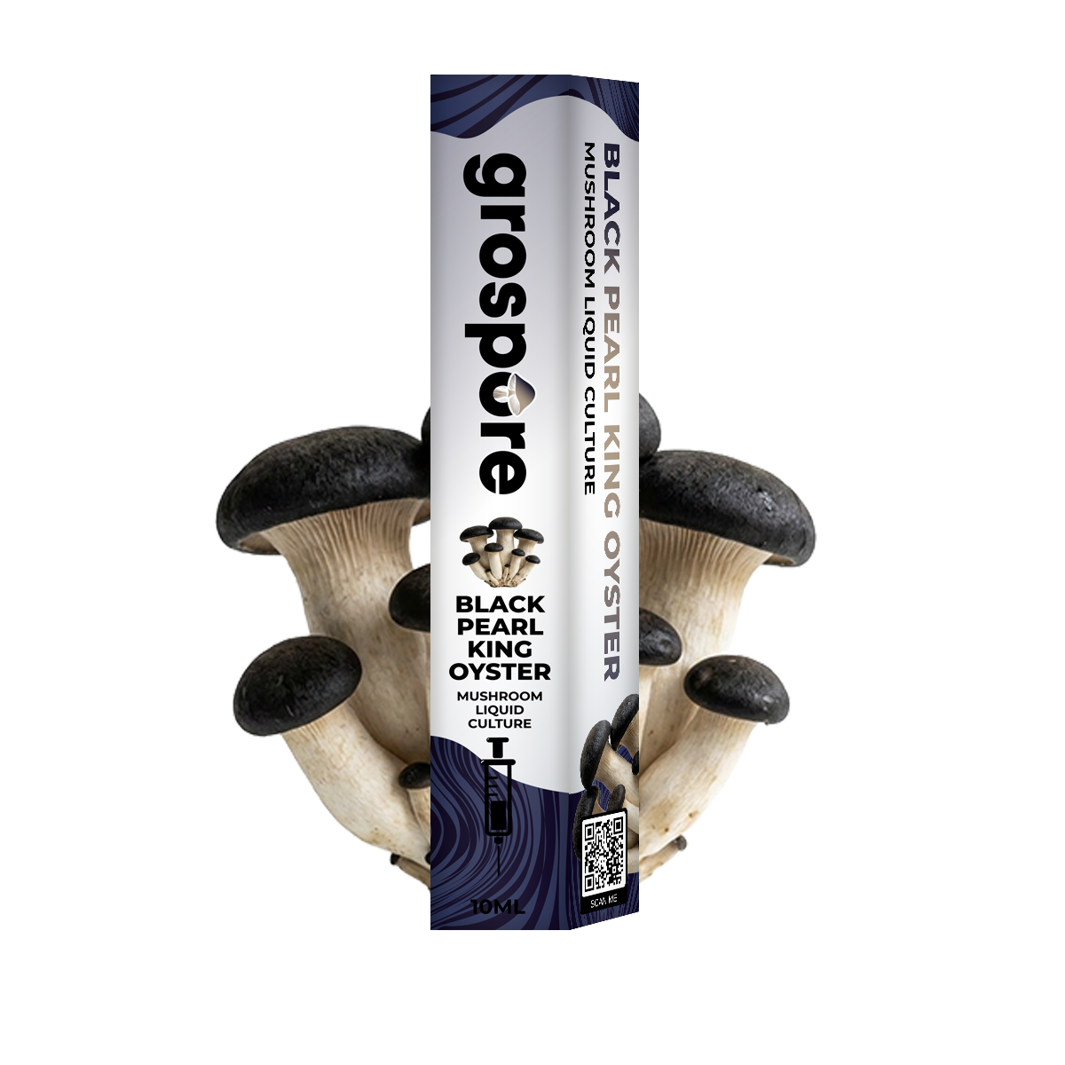 Black Pearl King Oyster Mushroom Liquid Culture packaging