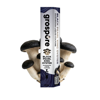 Black Pearl King Oyster Mushroom Liquid Culture packaging