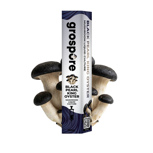 Black Pearl King Oyster Mushroom Liquid Culture packaging