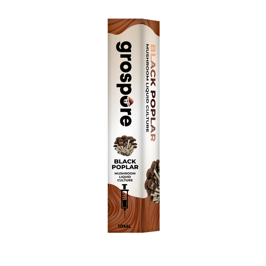 Black Poplar Mushroom Liquid Culture packaging