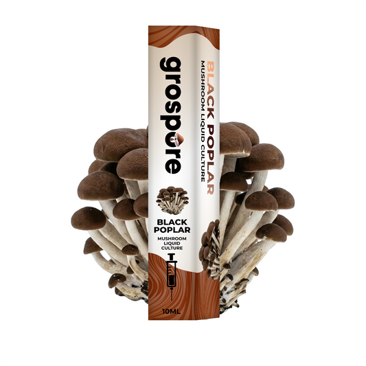 Black Poplar Mushroom Liquid Culture packaging