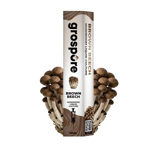 Brown Beech Mushroom Liquid Culture packaging