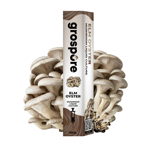 Elm Oyster Mushroom Liquid Culture packaging