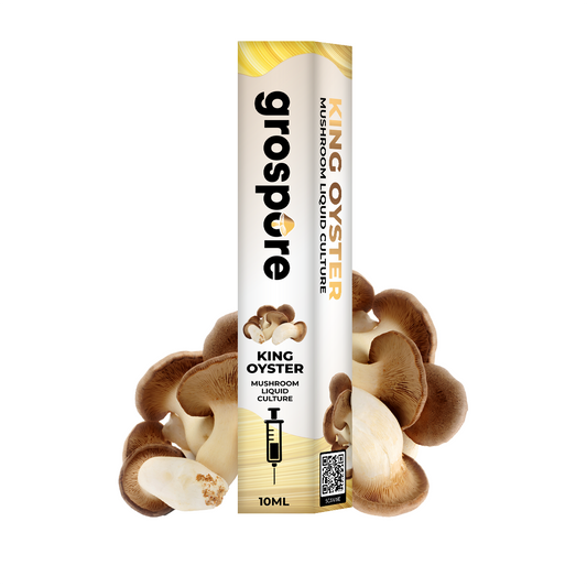King Oyster Mushroom Liquid Culture packaging