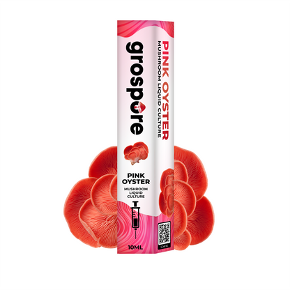 Pink Oyster Mushroom Liquid Culture packaging