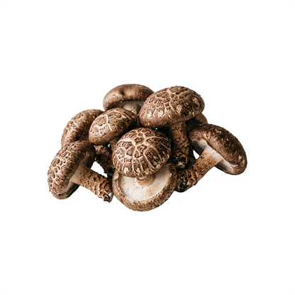 Shiitake Mushroom Liquid Culture packaging