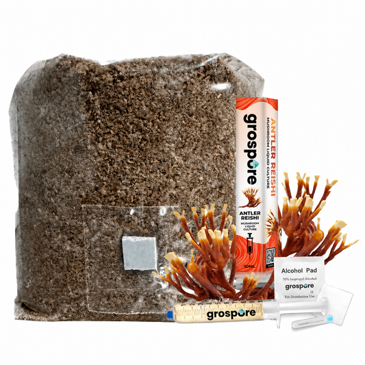 GroSpore Antler Reishi complete mushroom grow kit with substrate bag and liquid culture