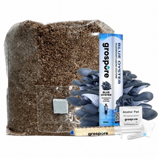 GroSpore Blue Oyster complete mushroom grow kit with substrate bag and liquid culture