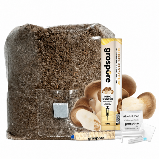 GroSpore King Oyster complete mushroom grow kit with substrate bag and liquid culture