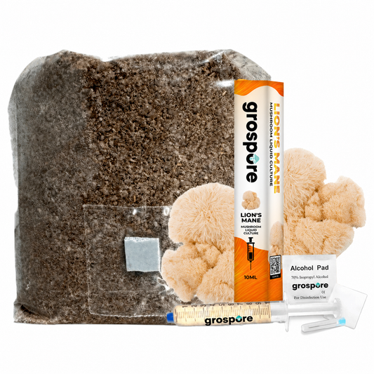 GroSpore Lion's Mane complete mushroom grow kit with substrate bag and liquid culture